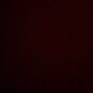 Meet your Posher, Shane